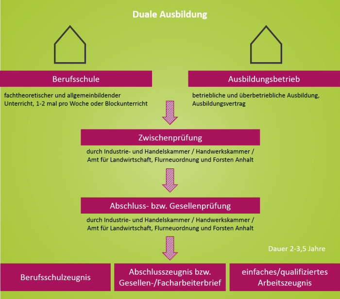 Duale Ausbildung